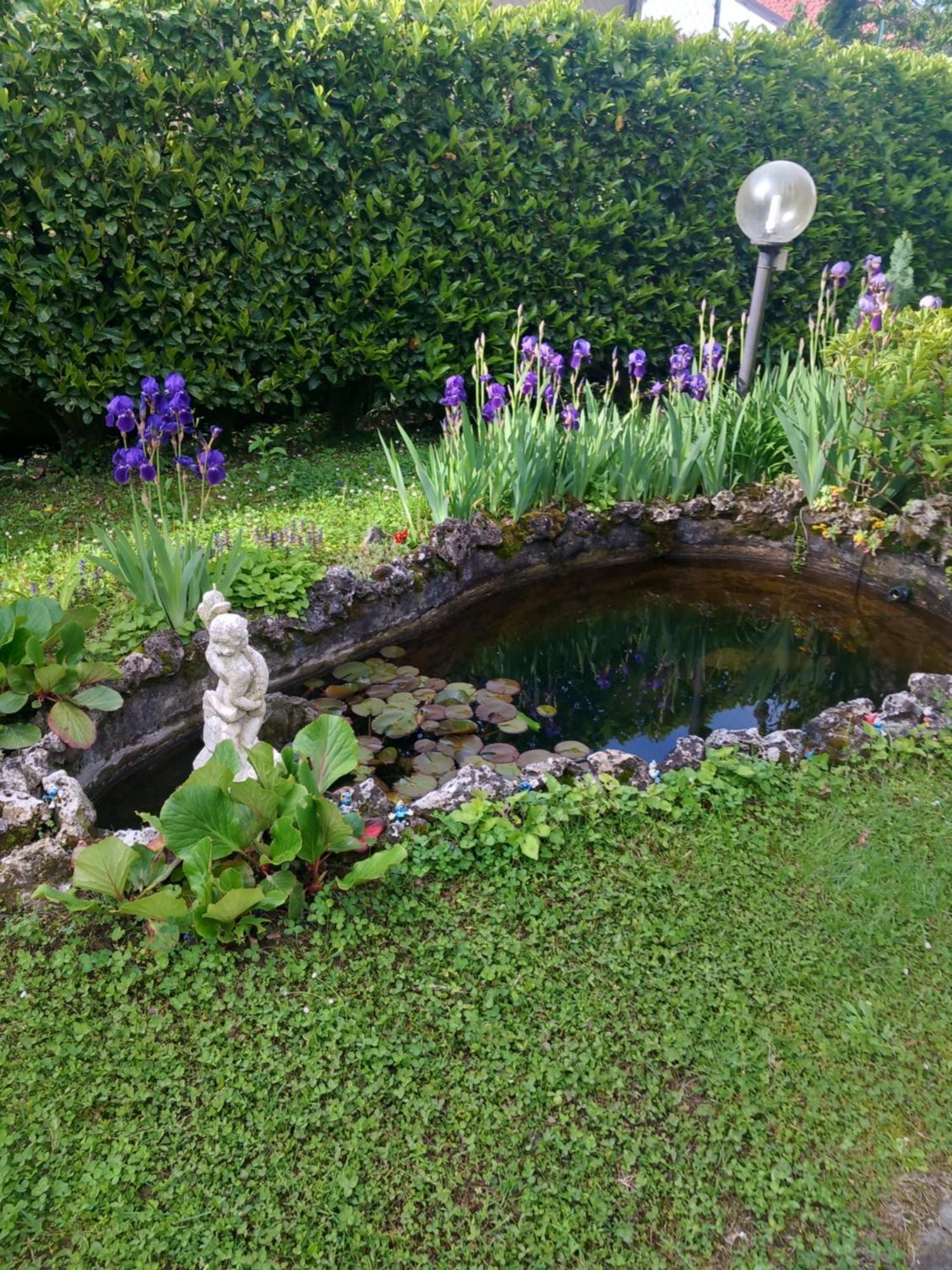 Il Laghetto Bed & Breakfast Torre Canavese Luaran gambar